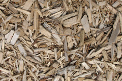 biomass boilers Carnkie